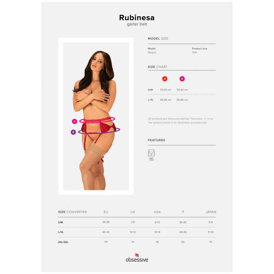 Romantyczny, uroczy pas do pończoch oraz stringi Obsessive Rubinesa